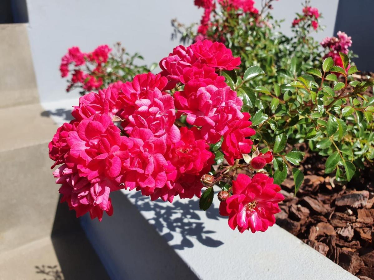 Casa Atlantico Dachterrassengeschoss Ribeira Brava Exterior foto